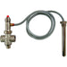 65215: Thermal discharge valve 3/4"