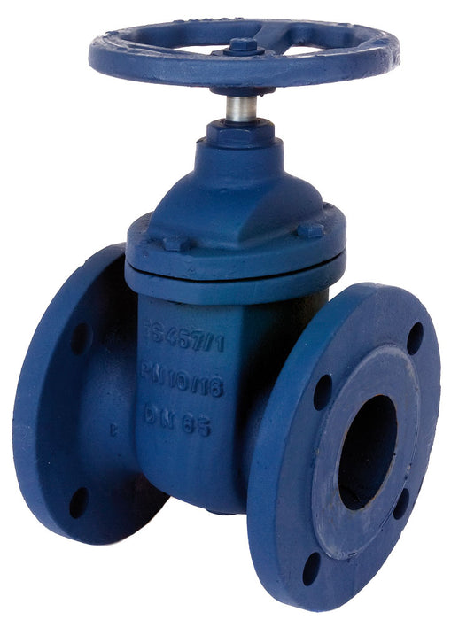 Ductile Iron PN16 Flanged Gate Valve