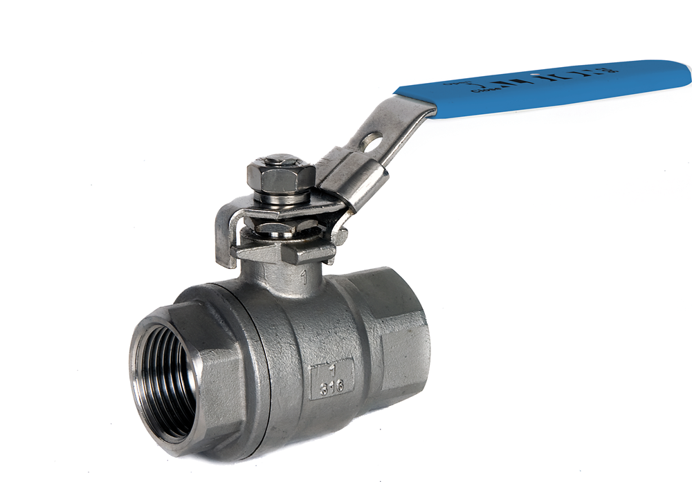 2 Piece Stainless Steel Ball Valve BSP Parallel F/F Ends (ISO 7/1)