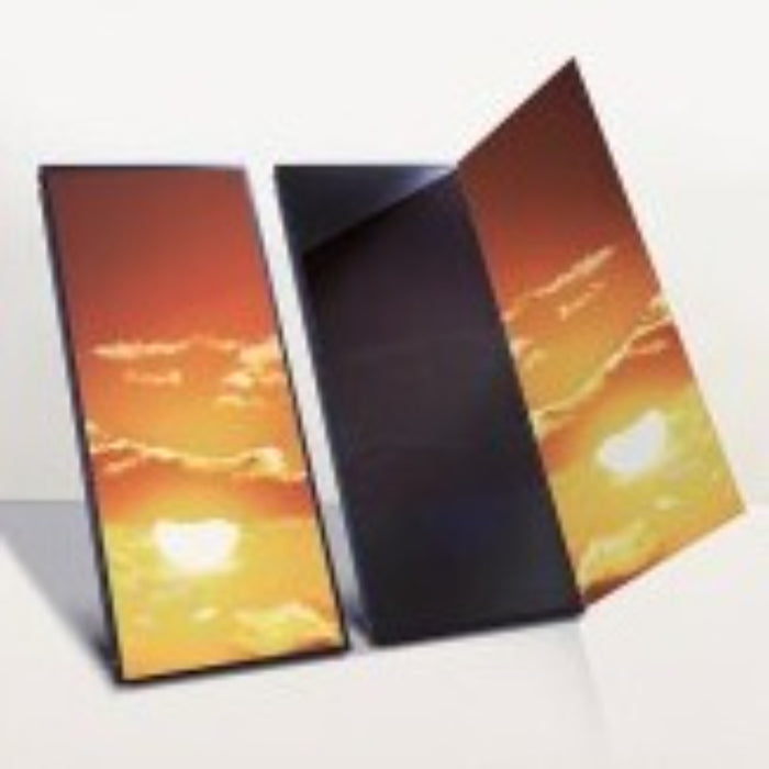 Viessmann Vitosol 100-FM Flat Plate Collectors Solar Panel